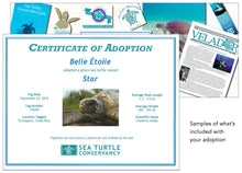 Load image into Gallery viewer, Sea Turtle Adoption
